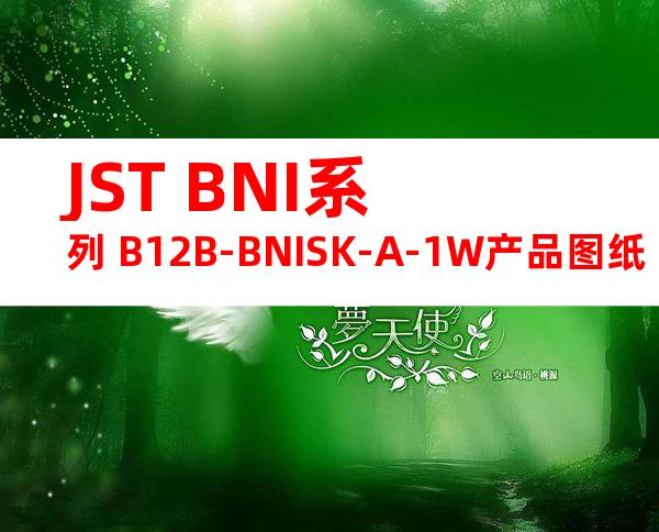JST BNI系列 B12B-BNISK-A-1W产品图纸